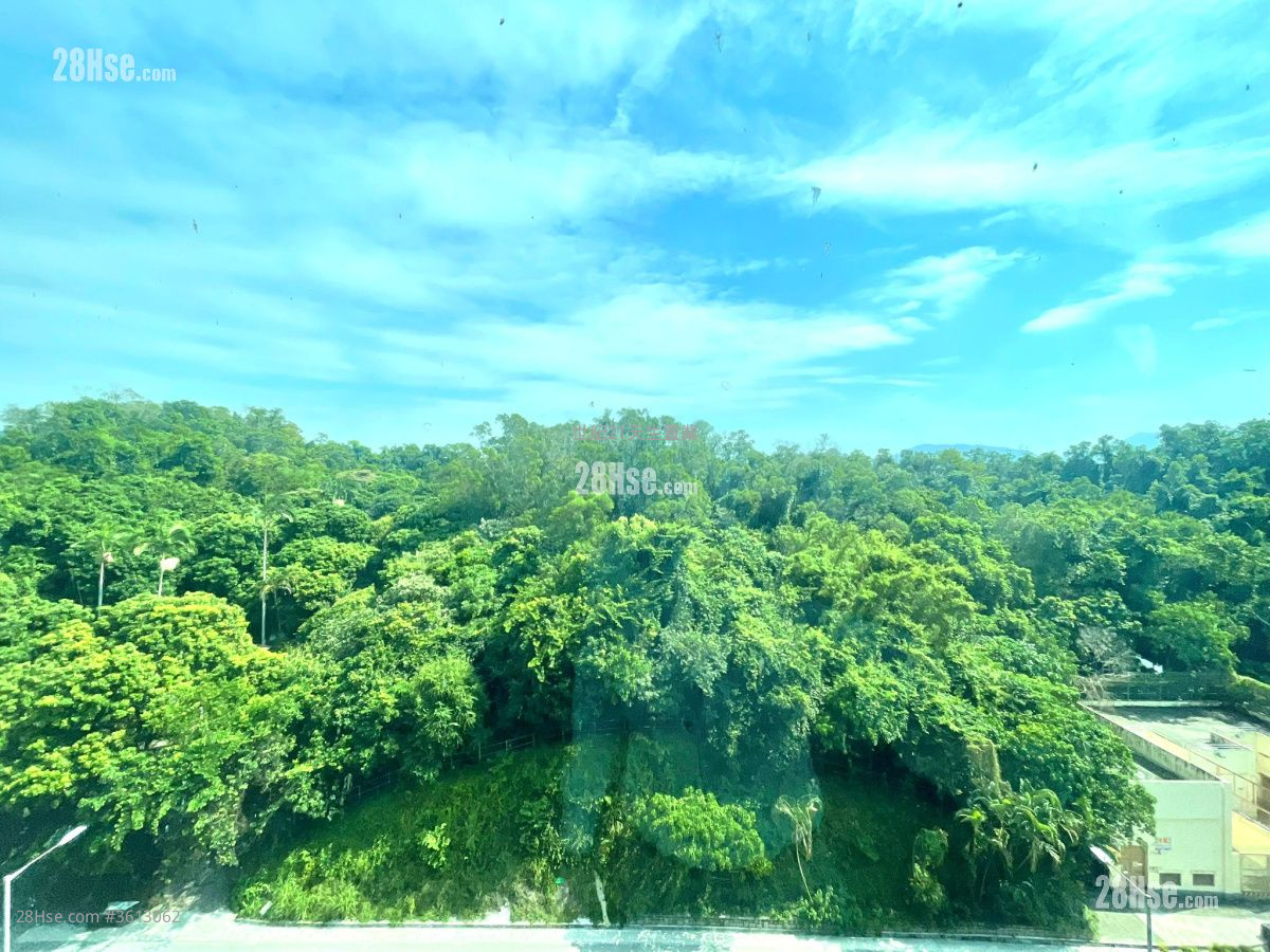 海澄軒 售盤 4 房 , 1 浴室 702 平方呎 海澄軒 售盤 4 房 , 1 浴室 702 平方呎