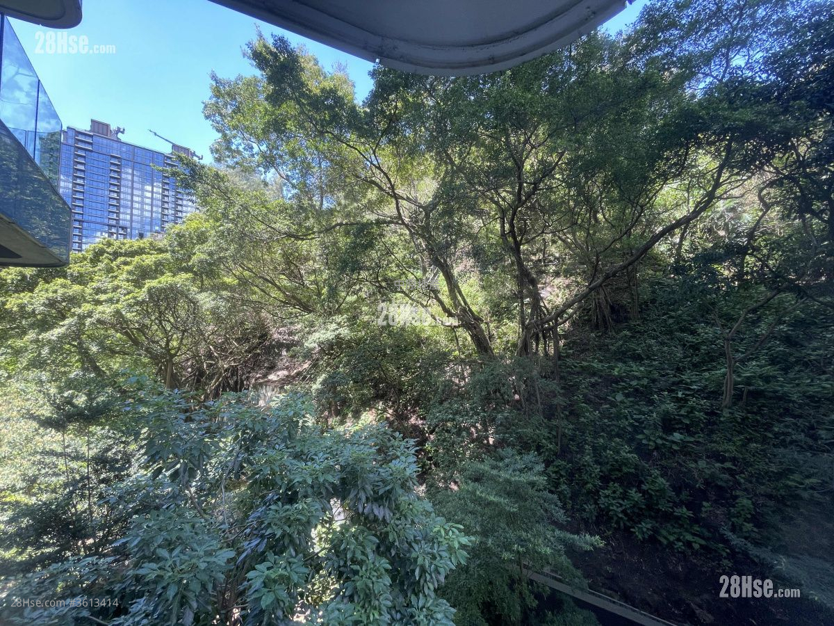 Homantin Hillside Rental 1 Bedroom , 1 Bathroom 349 ft² Homantin Hillside Rental 1 Bedroom , 1 Bathroom 349 ft²