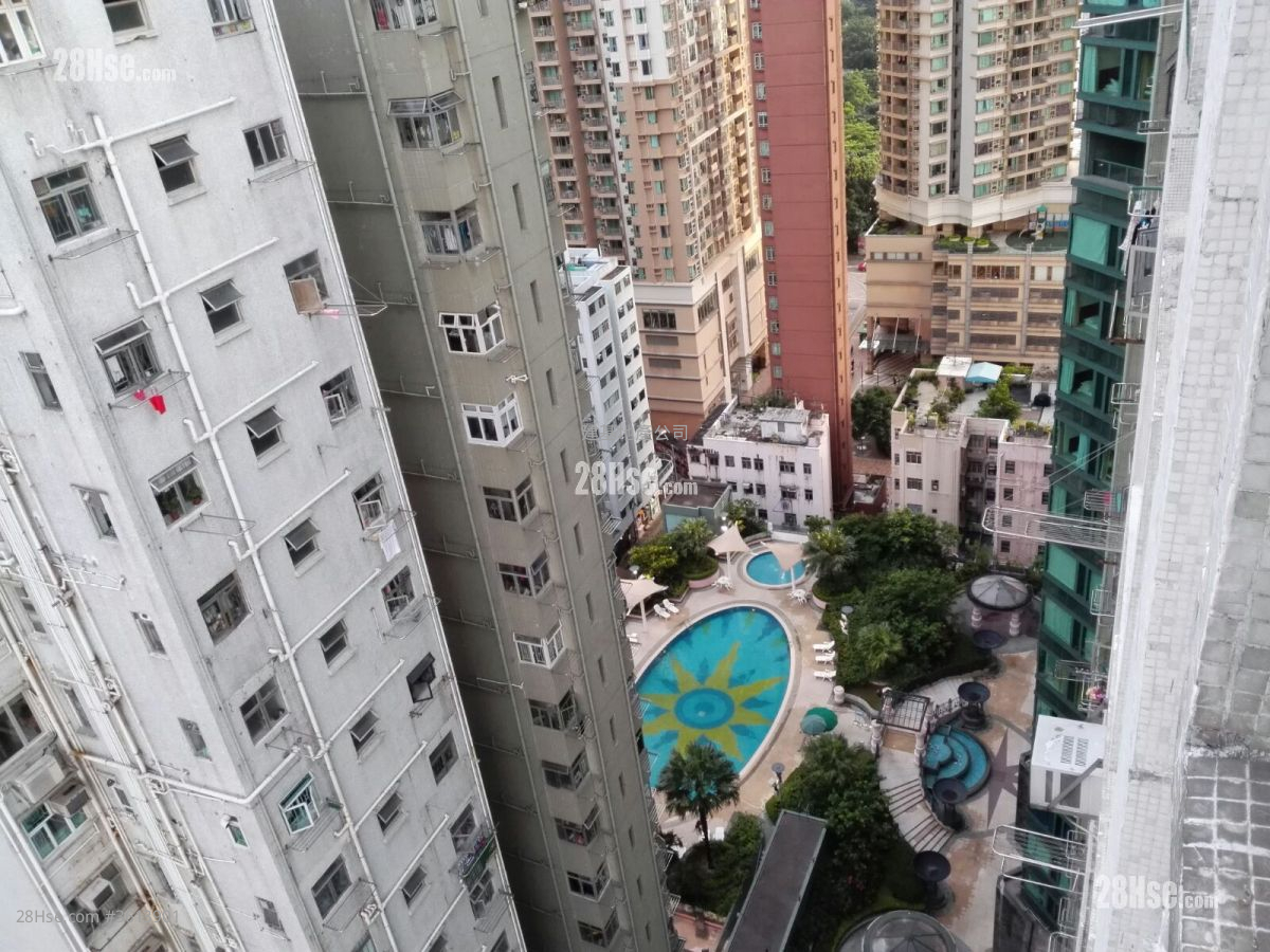 Hing Wong Building Rental 1 Bedroom , 1 Bathroom 389 ft² Hing Wong Building Rental 1 Bedroom , 1 Bathroom 389 ft²