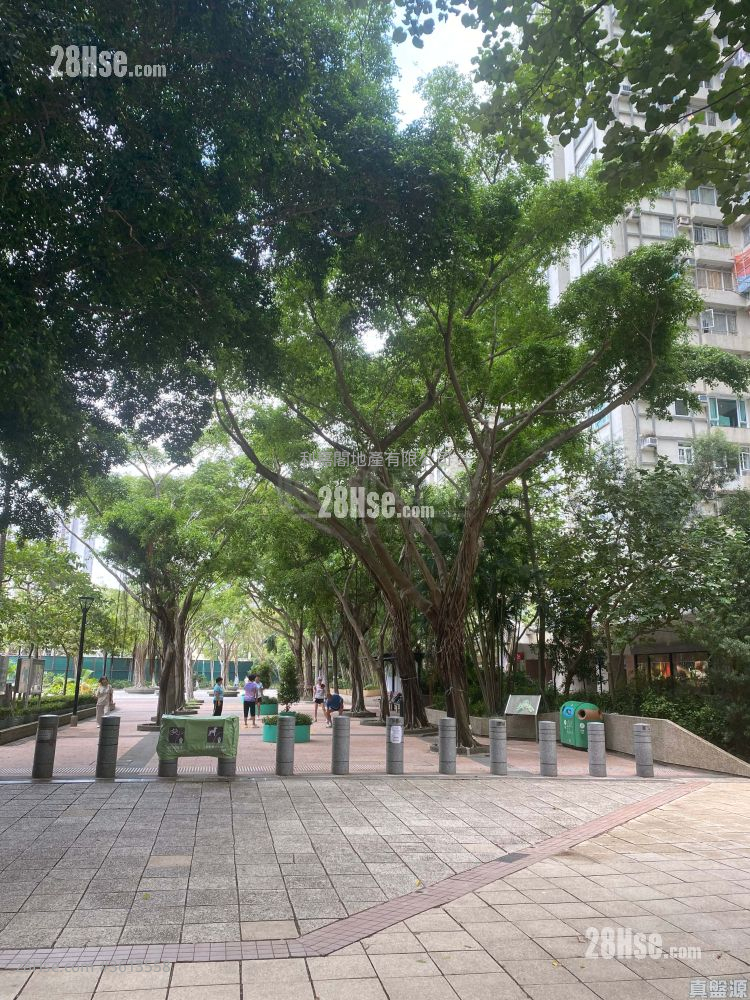 Lei King Wan Sell 2 Bedrooms , 1 Bathroom 485 ft² Lei King Wan Sell 2 Bedrooms , 1 Bathroom 485 ft²
