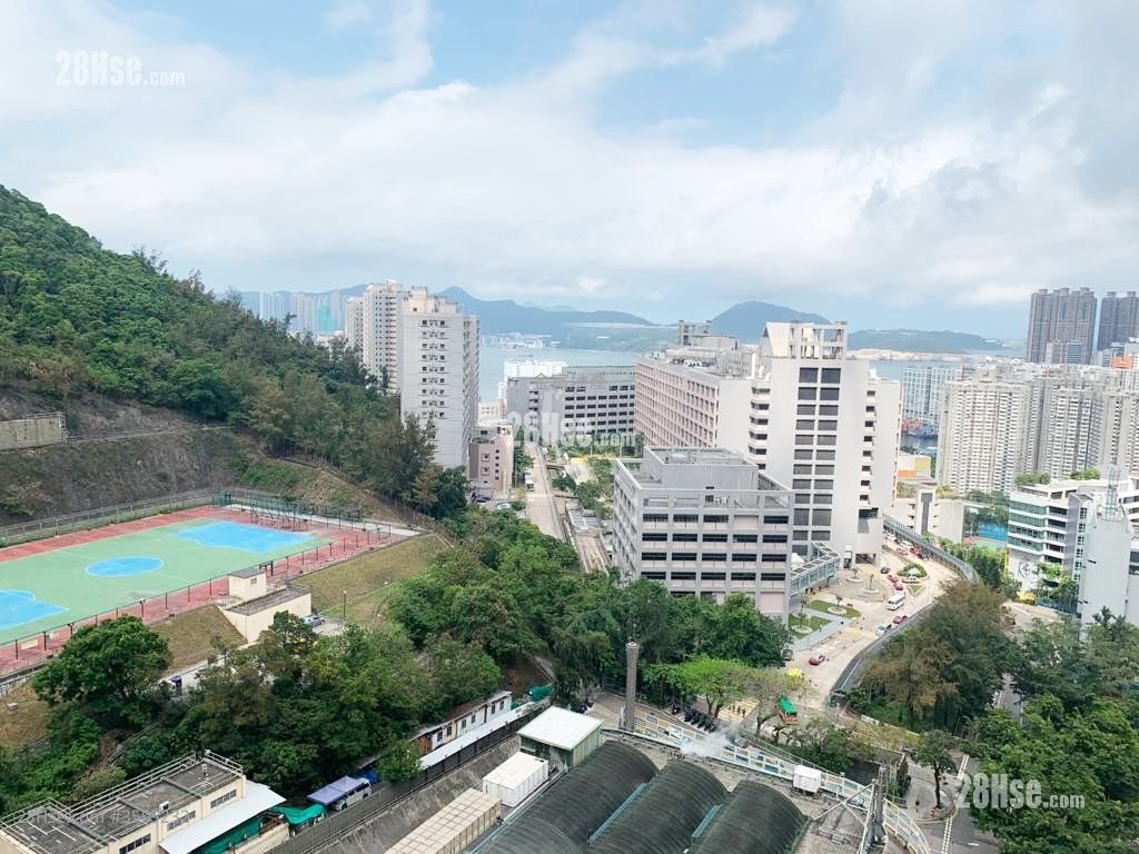 山翠苑 租盤 2 房 379 平方呎