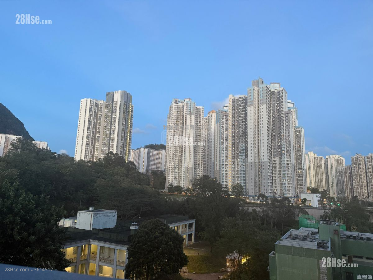 泰峯 售盤 1 房 , 1 浴室 336 平方呎 泰峯 售盤 1 房 , 1 浴室 336 平方呎