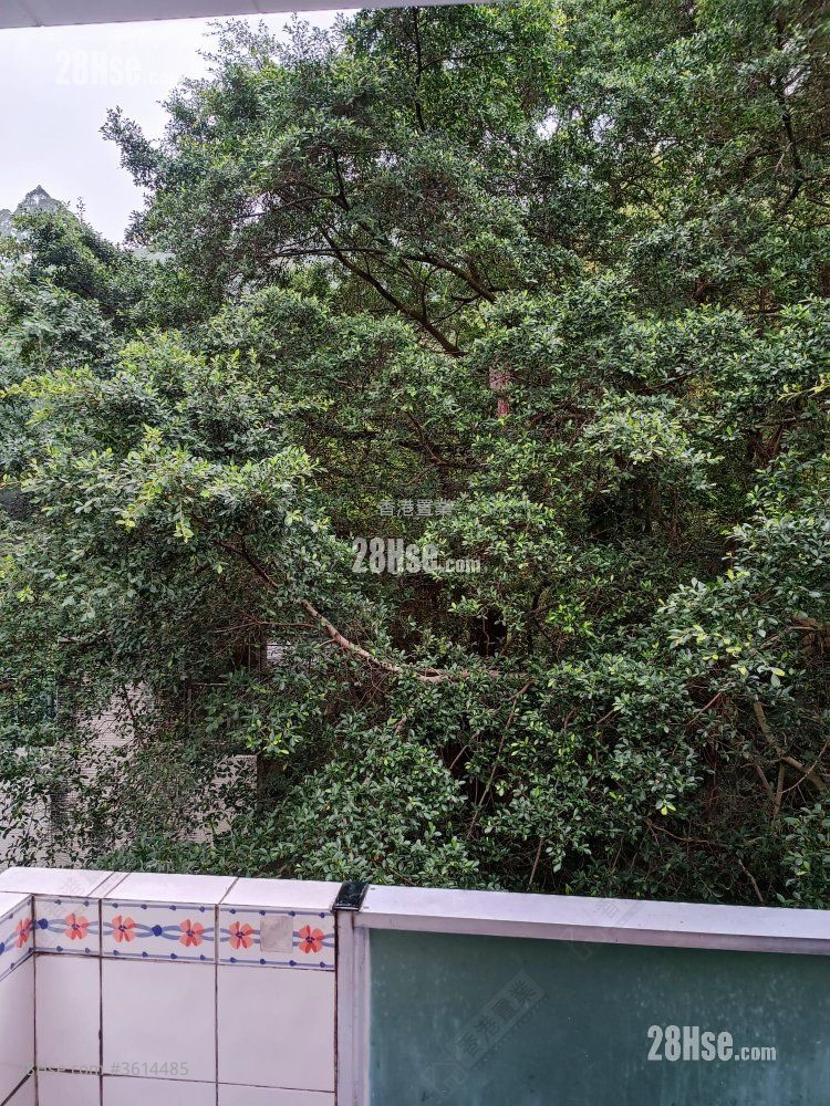 11A Wun Sha Street Rental 2 Bedrooms , 1 Bathroom 638 ft² 11A Wun Sha Street Rental 2 Bedrooms , 1 Bathroom 638 ft²