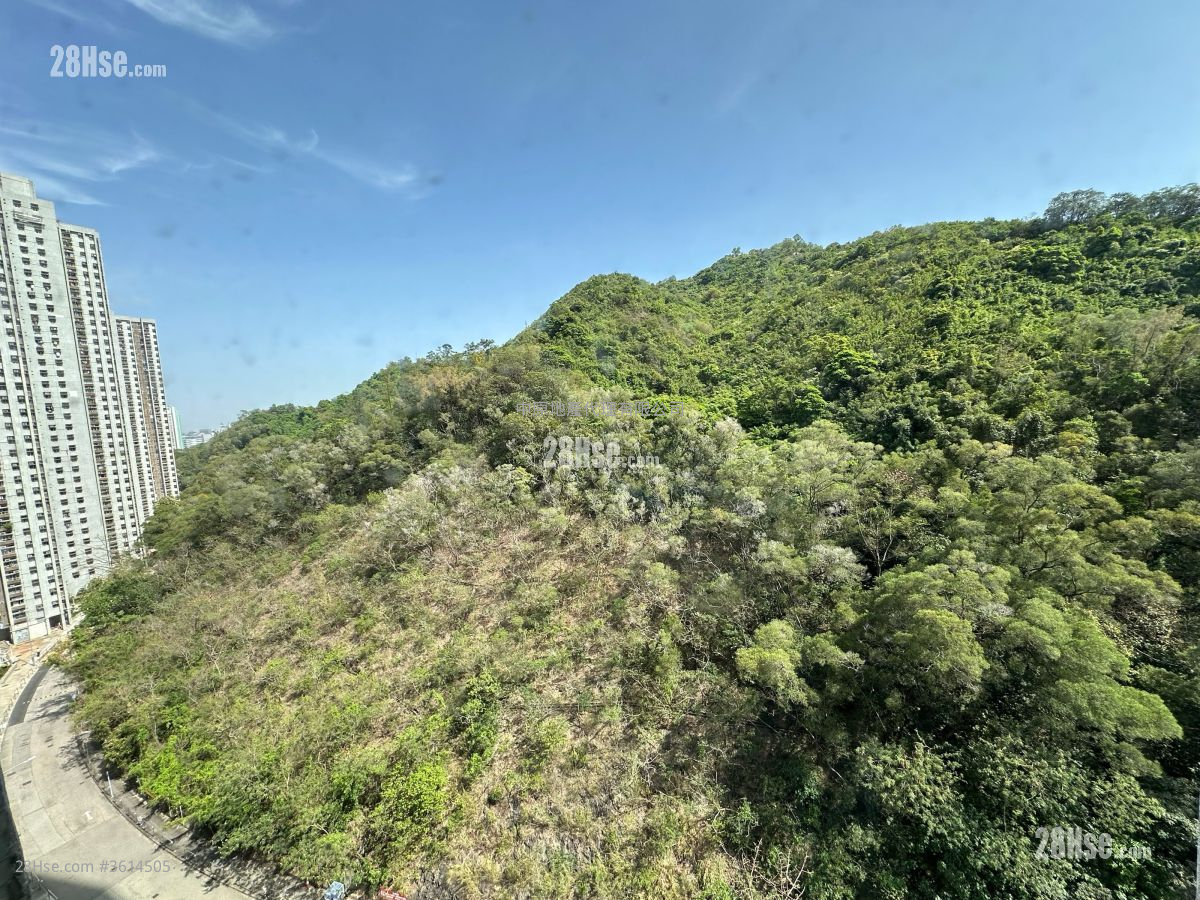 Ching Wah Court Sell 1 Bedroom , 1 Bathroom 363 ft² Ching Wah Court Sell 1 Bedroom , 1 Bathroom 363 ft²