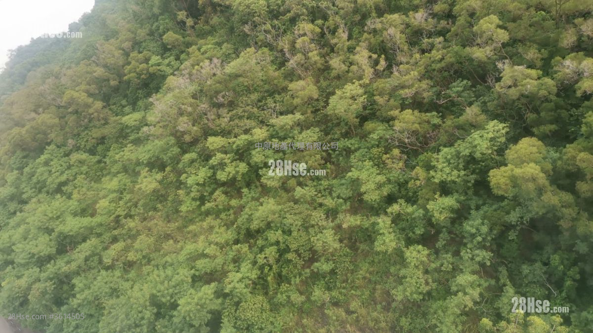 Ching Wah Court Sell 1 Bedroom , 1 Bathroom 363 ft² Ching Wah Court Sell 1 Bedroom , 1 Bathroom 363 ft²