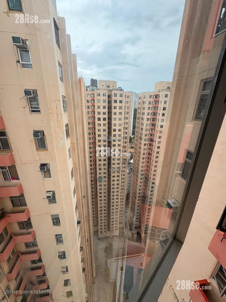 Amoy Gardens Rental 2 Bedrooms , 1 Bathroom 375 ft² Amoy Gardens Rental 2 Bedrooms , 1 Bathroom 375 ft²