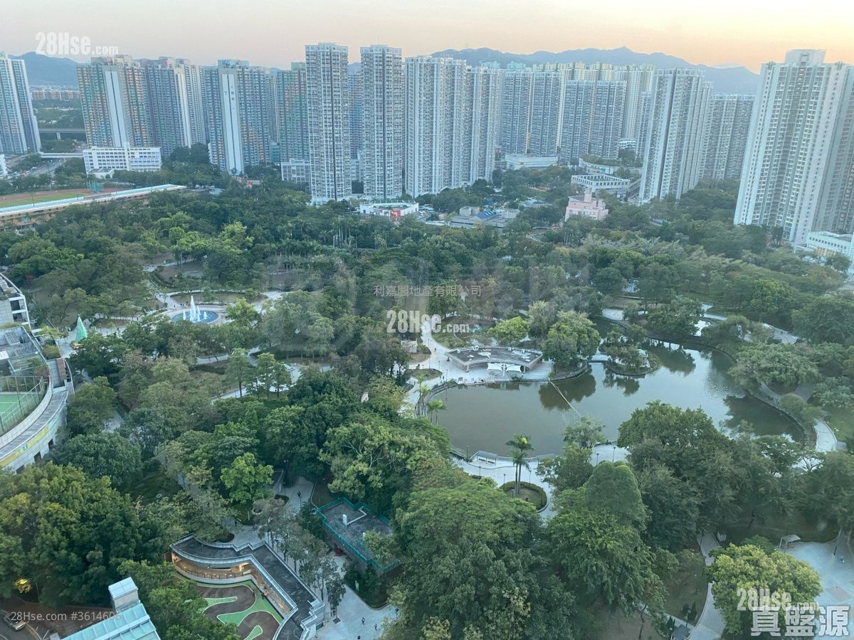 Central Park Towers Rental 489 ft² Central Park Towers Rental 489 ft²