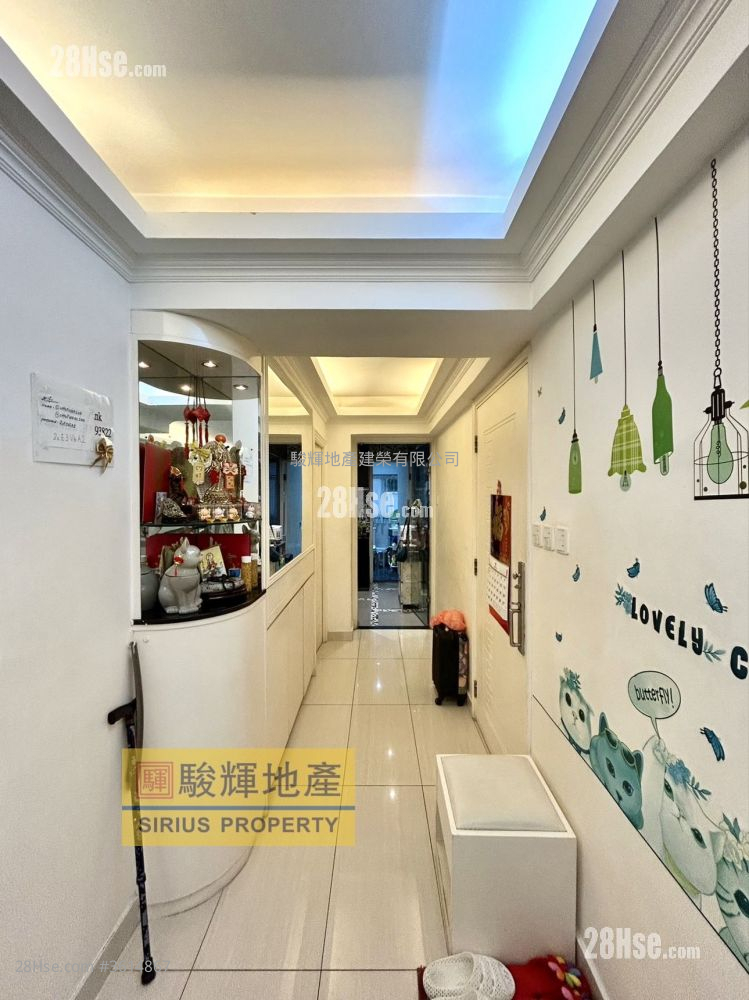 Flordia Mansion Sell 3 Bedrooms , 2 Bathrooms 725 ft² Flordia Mansion Sell 3 Bedrooms , 2 Bathrooms 725 ft²