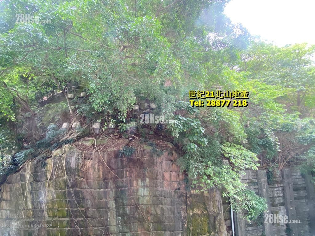 金龍大廈 售盤 3 房 , 2 浴室 1,143 平方呎 金龍大廈 售盤 3 房 , 2 浴室 1,143 平方呎