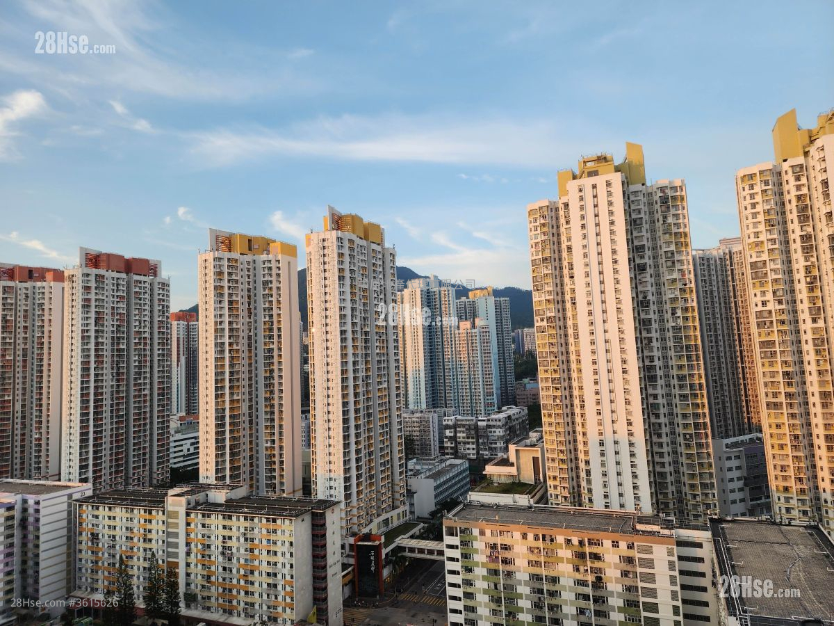 Belgravia Place 售盘 1 房 264 平方尺 Belgravia Place 售盘 1 房 264 平方尺