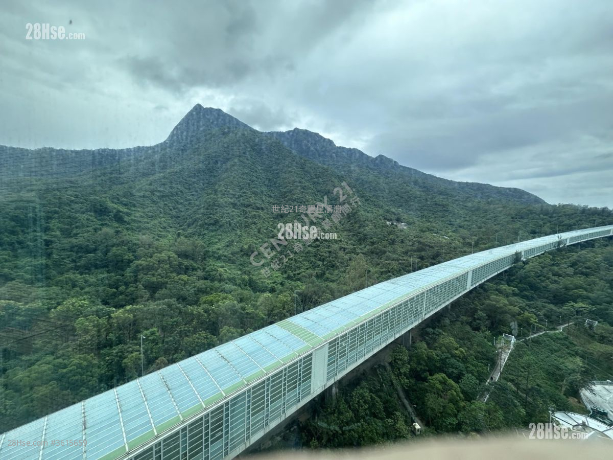 Monte Vista Sell 3 Bedrooms , 2 Bathrooms 833 ft² Monte Vista Sell 3 Bedrooms , 2 Bathrooms 833 ft²