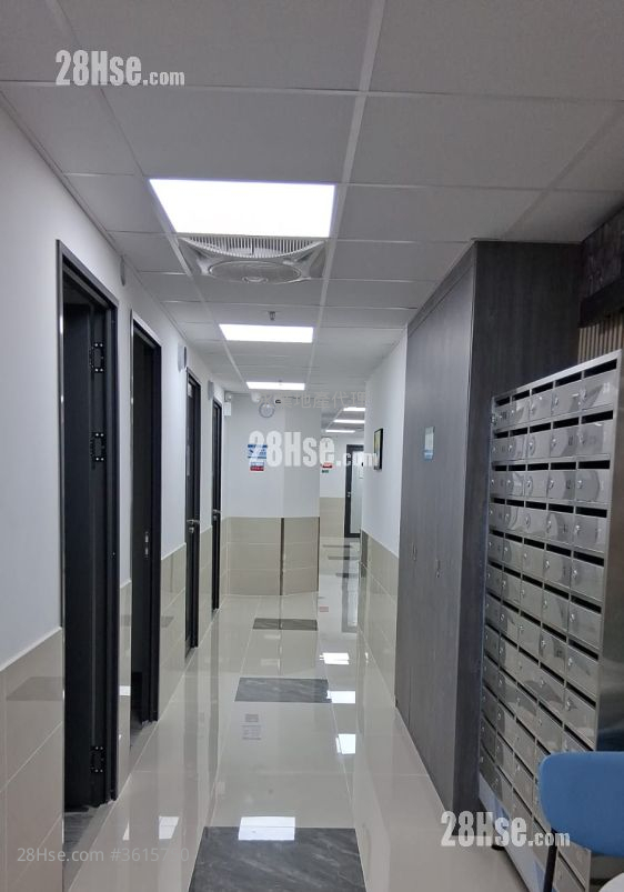 Liven House Rental Liven House Rental