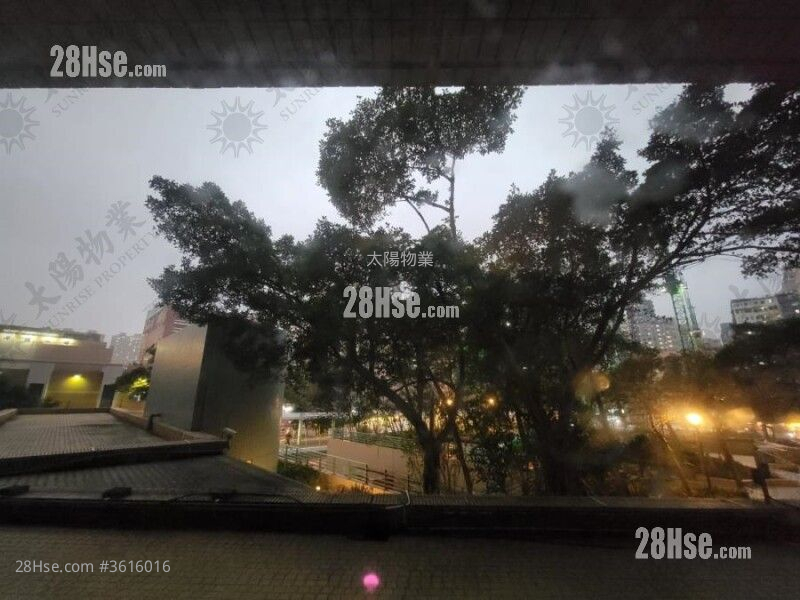 半島豪庭 售盤 3 房 677 平方呎 半島豪庭 售盤 3 房 677 平方呎