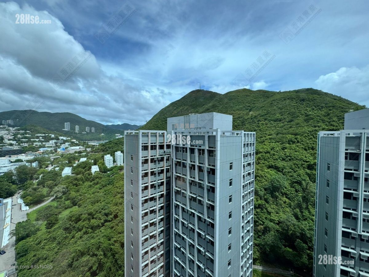 View: The Southside Rental 3 Bedrooms , 2 Bathrooms 659 ft² View: The Southside Rental 3 Bedrooms , 2 Bathrooms 659 ft²