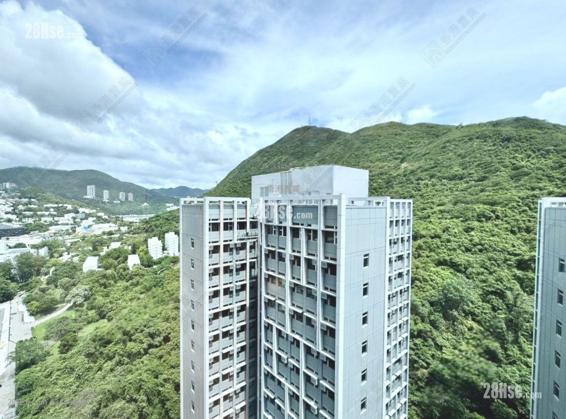 View: The Southside Rental 3 Bedrooms , 2 Bathrooms 659 ft² View: The Southside Rental 3 Bedrooms , 2 Bathrooms 659 ft²