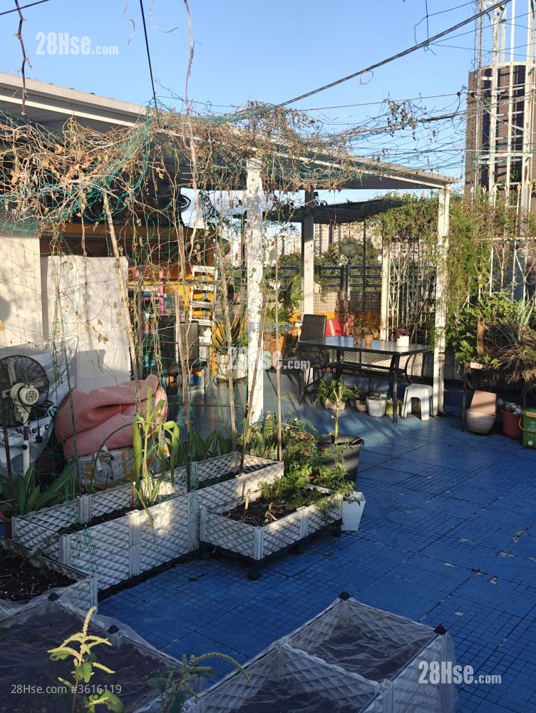 Tai Po Garden Sell 3 Bedrooms , 2 Bathrooms 859 ft² Tai Po Garden Sell 3 Bedrooms , 2 Bathrooms 859 ft²