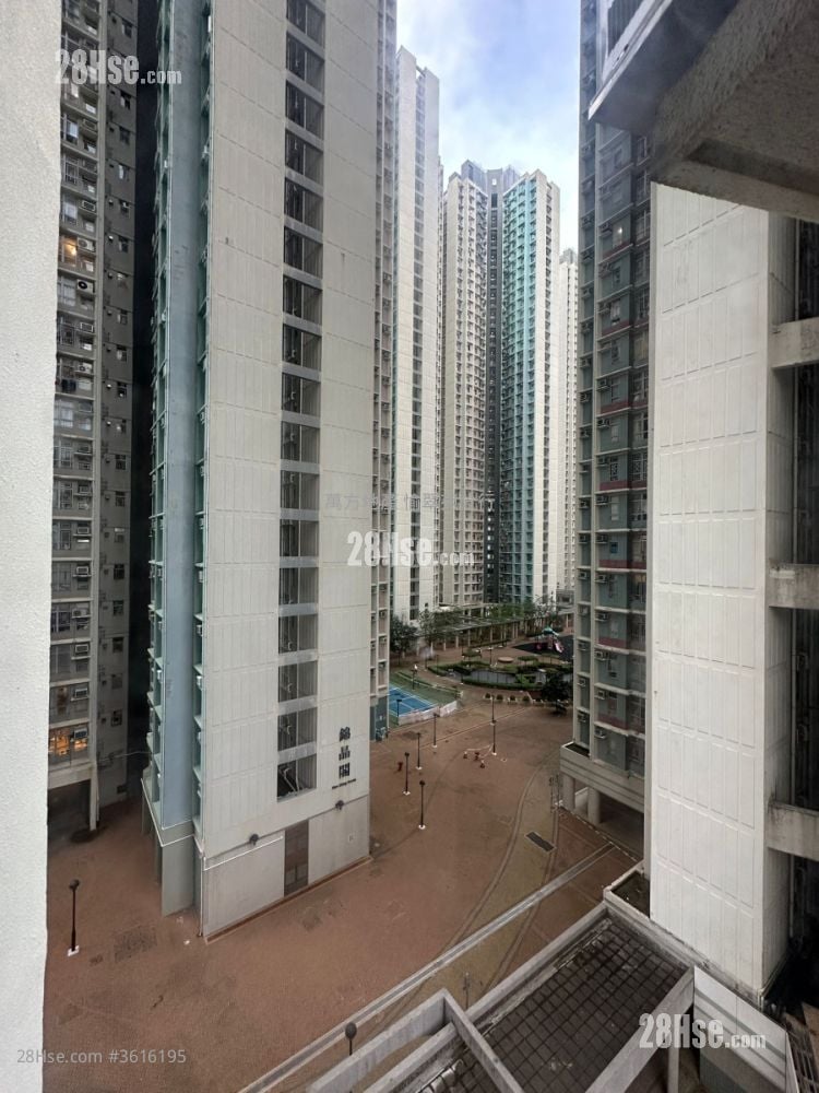 Kam Tai Court Sell 2 Bedrooms , 1 Bathroom 521 ft² Kam Tai Court Sell 2 Bedrooms , 1 Bathroom 521 ft²