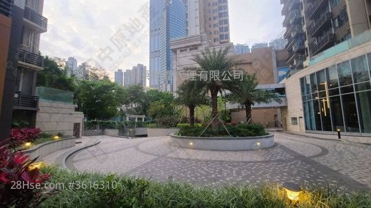 映日灣 租盤 開放式間隔 , 1 浴室 242 平方呎 映日灣 租盤 開放式間隔 , 1 浴室 242 平方呎