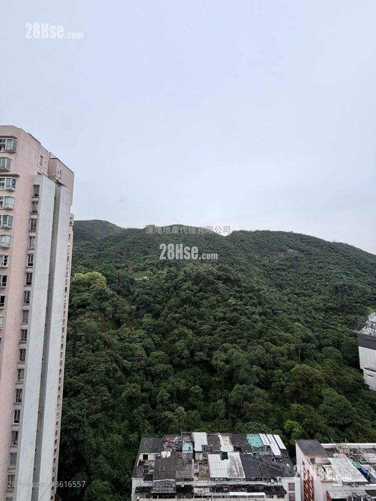 南豐新邨 租盤 2 房 , 1 浴室 391 平方呎 南豐新邨 租盤 2 房 , 1 浴室 391 平方呎