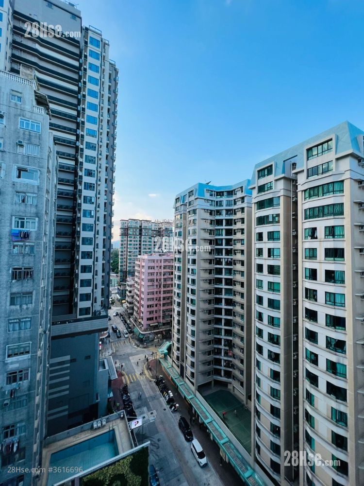 93Pauchungstreet Rental 1 Bedroom , 1 Bathroom 328 ft² 93Pauchungstreet Rental 1 Bedroom , 1 Bathroom 328 ft²