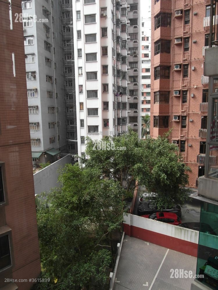 Dragon View Rental 4 Bedrooms , 2 Bathrooms 1,301 ft² Dragon View Rental 4 Bedrooms , 2 Bathrooms 1,301 ft²