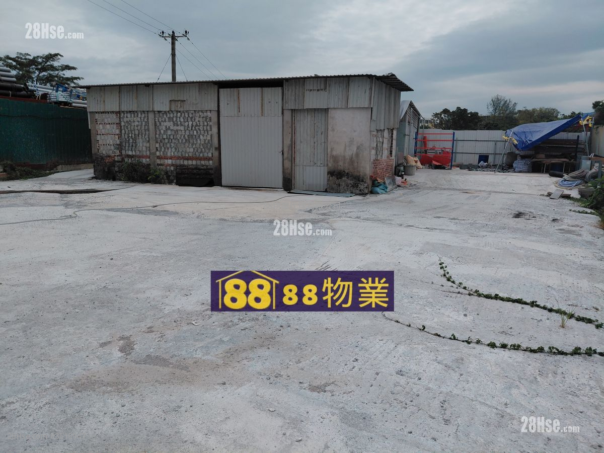 打鼓嶺坪輋路 租盤 打鼓嶺坪輋路 租盤