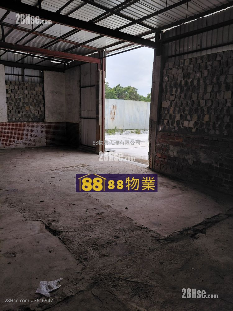 打鼓嶺坪輋路 租盤 打鼓嶺坪輋路 租盤