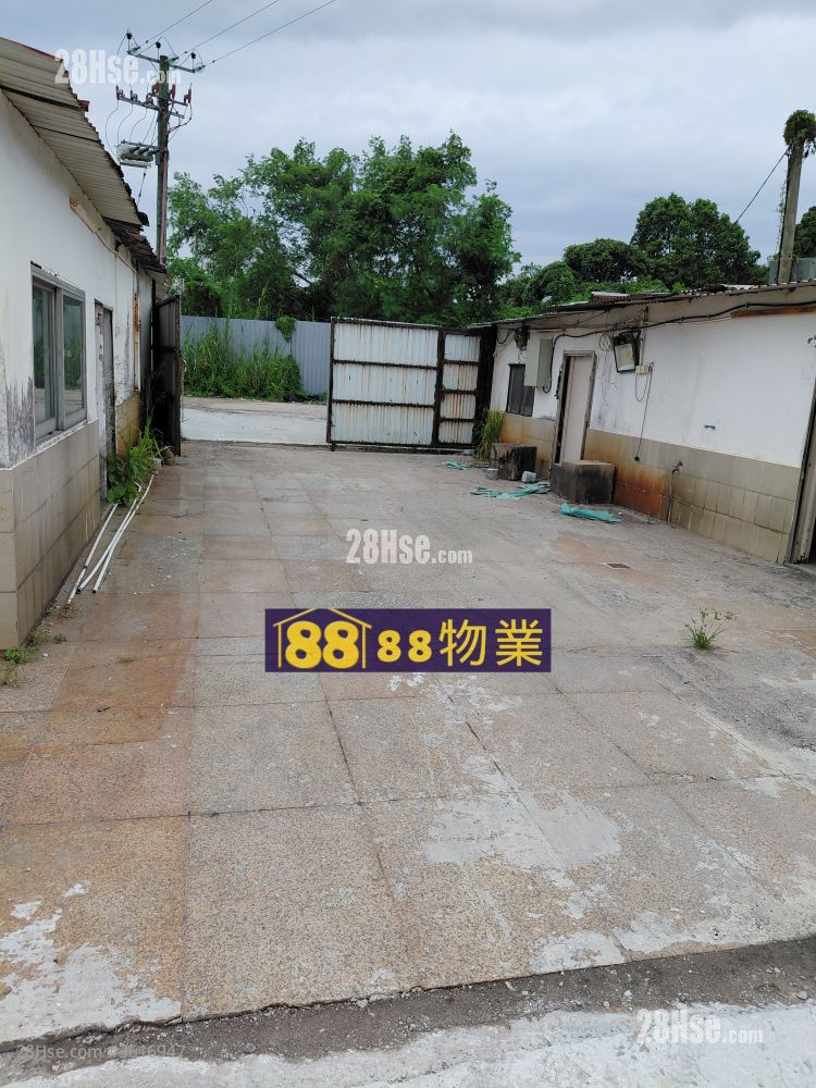 打鼓嶺坪輋路 租盤 打鼓嶺坪輋路 租盤