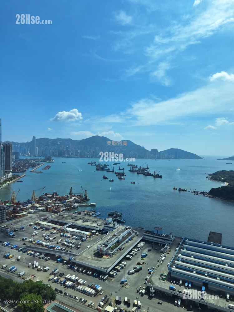 煙花海景 煙花海景