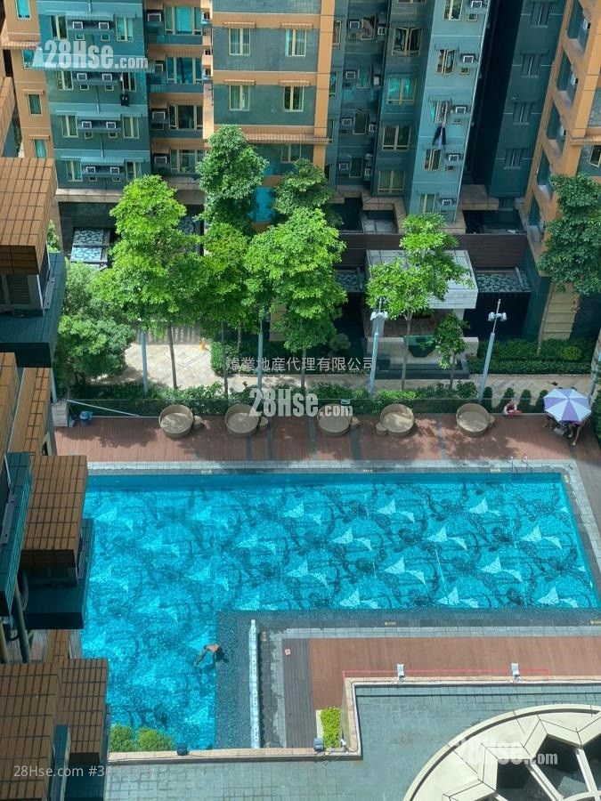 Harbour Place Rental 3 Bedrooms , 1 Bathroom 590 ft² Harbour Place Rental 3 Bedrooms , 1 Bathroom 590 ft²