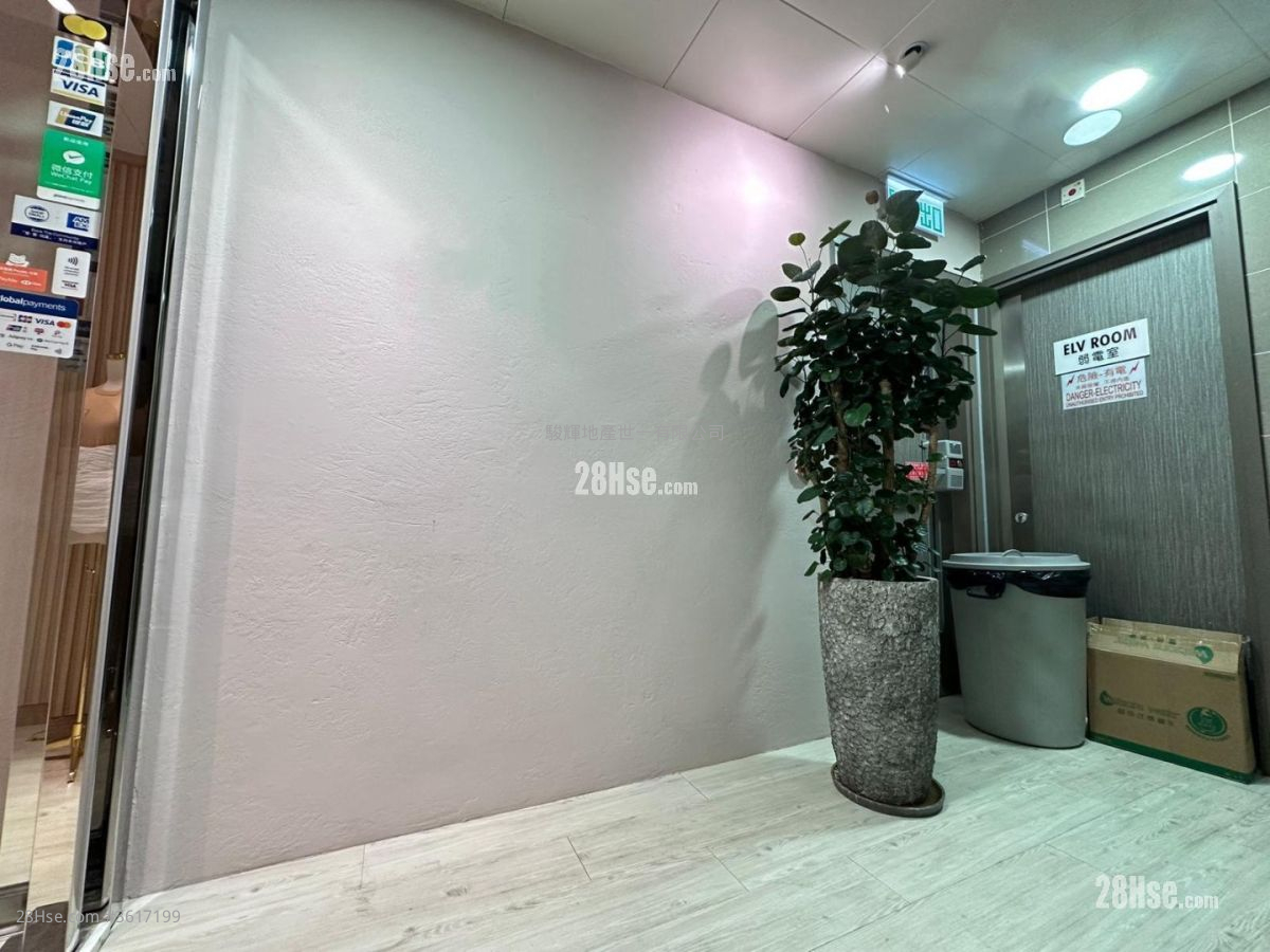 亞士厘道17-19號 Rental 5+ Bedrooms , 1 Toilet 亞士厘道17-19號 Rental 5+ Bedrooms , 1 Toilet