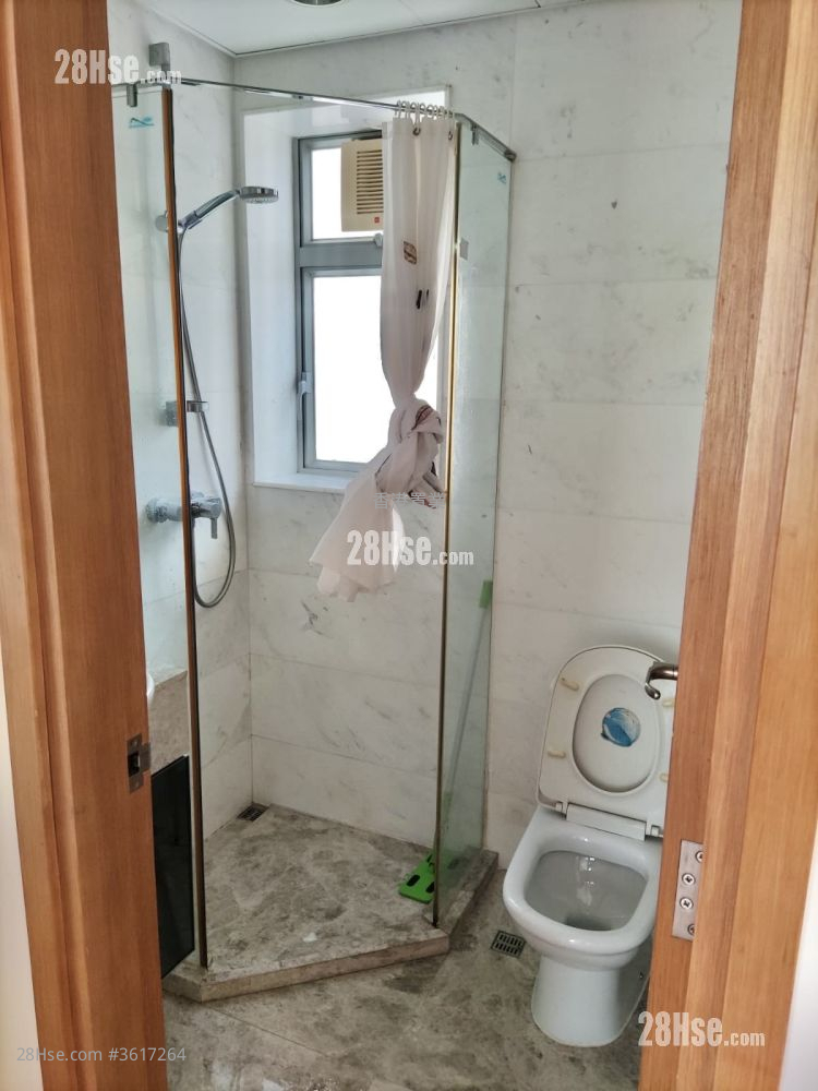 The Java Rental 2 Bedrooms , 2 Bathrooms 555 ft² The Java Rental 2 Bedrooms , 2 Bathrooms 555 ft²