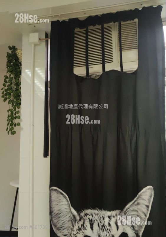 成運工業大廈 租盤 開放式間隔 , 1 廁所 成運工業大廈 租盤 開放式間隔 , 1 廁所
