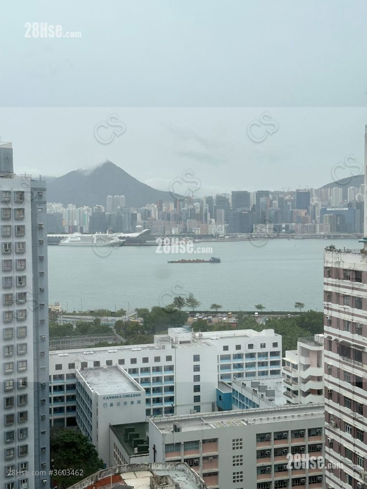 King's House Rental 2 Bedrooms , 1 Bathroom 496 ft²