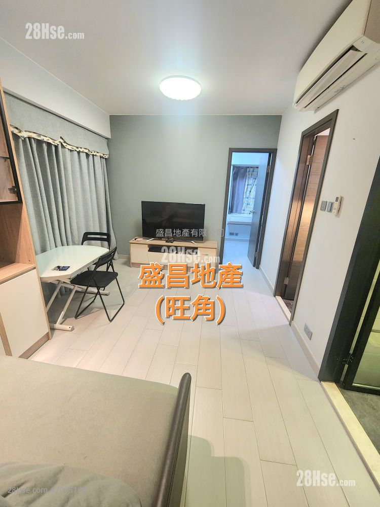 Paradise Square Rental 1 Bedroom , 1 Bathroom 368 ft²