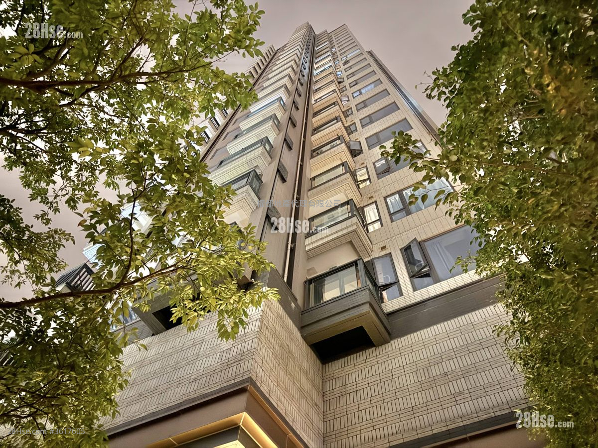 Downtown 38 Rental 1 Bedroom , 1 Bathroom 304 ft² Downtown 38 Rental 1 Bedroom , 1 Bathroom 304 ft²
