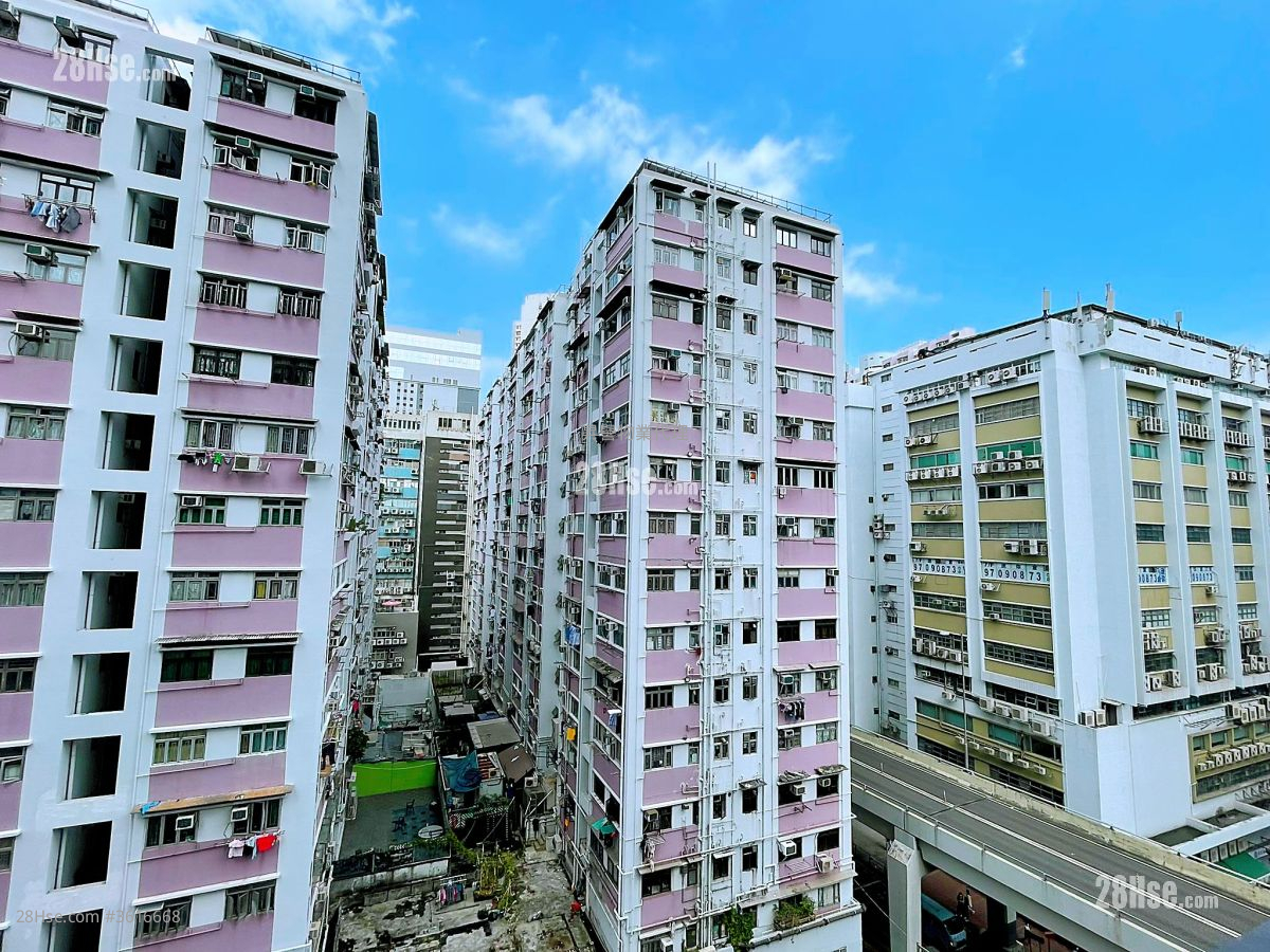 Mangrove Sell 1 Bedroom , 1 Bathroom 250 ft² Mangrove Sell 1 Bedroom , 1 Bathroom 250 ft²