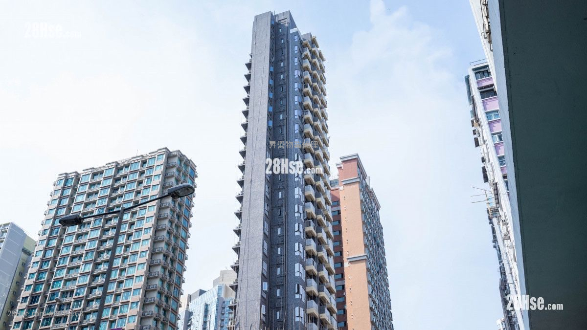 Mangrove Sell 1 Bedroom , 1 Bathroom 250 ft² Mangrove Sell 1 Bedroom , 1 Bathroom 250 ft²