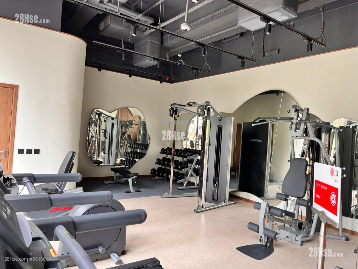 Mangrove Sell 1 Bedroom , 1 Bathroom 250 ft² Mangrove Sell 1 Bedroom , 1 Bathroom 250 ft²