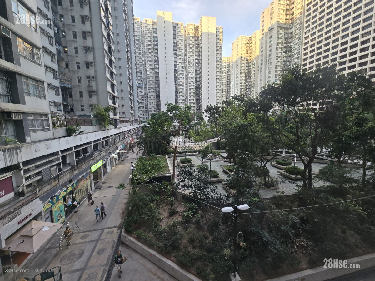 City Garden Sell 3 Bedrooms , 2 Bathrooms 1,029 ft² City Garden Sell 3 Bedrooms , 2 Bathrooms 1,029 ft²