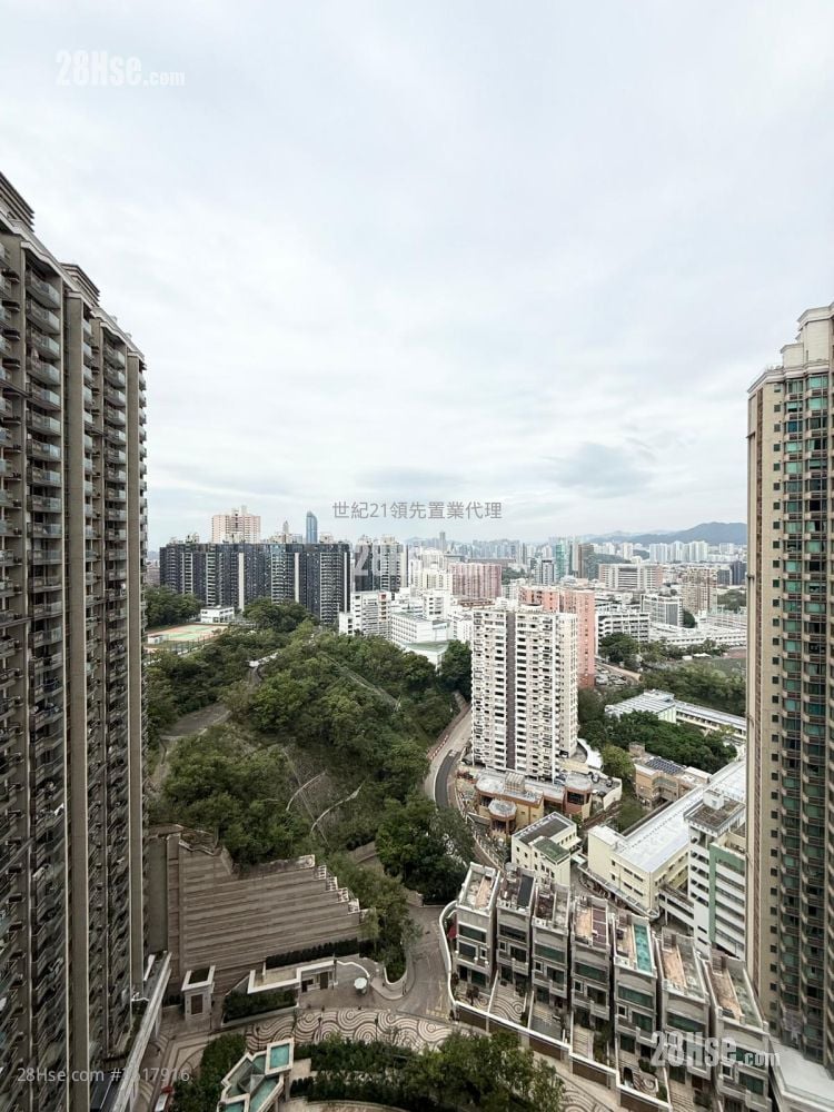 Celestial Heights Rental 4 Bedrooms , 3 Bathrooms 1,579 ft² Celestial Heights Rental 4 Bedrooms , 3 Bathrooms 1,579 ft²