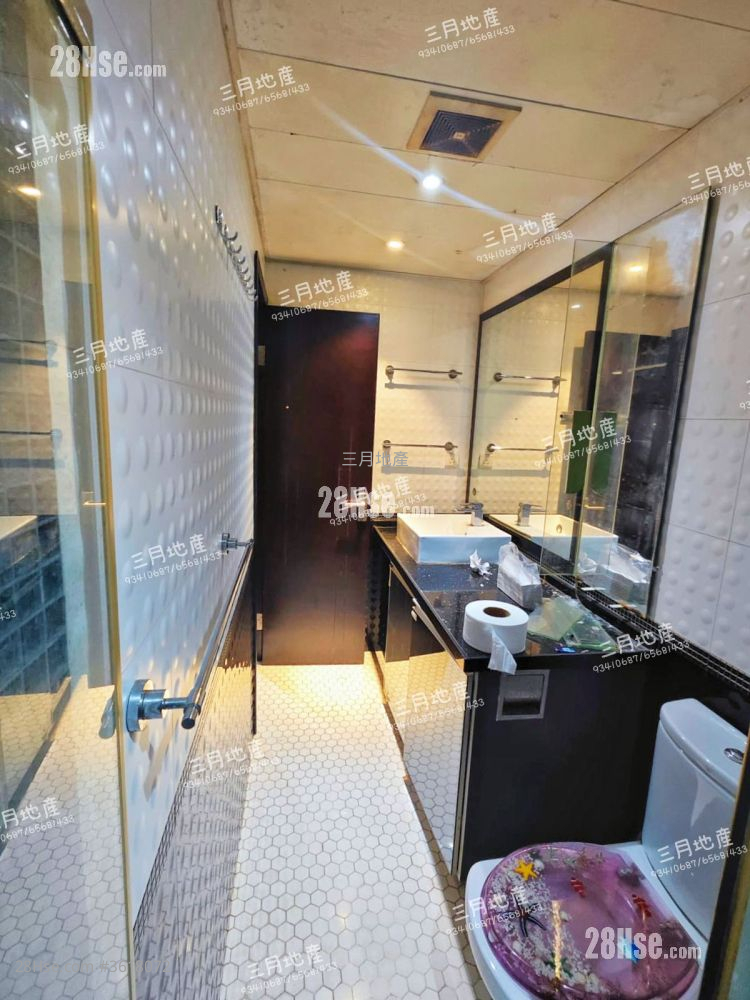 6 Cedar Street Sell 1 Bedroom , 1 Bathroom 465 ft² 6 Cedar Street Sell 1 Bedroom , 1 Bathroom 465 ft²
