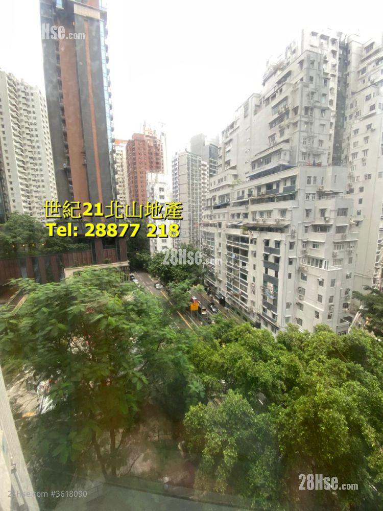 Dragon View Garden Rental 2 Bedrooms , 1 Bathroom 693 ft² Dragon View Garden Rental 2 Bedrooms , 1 Bathroom 693 ft²