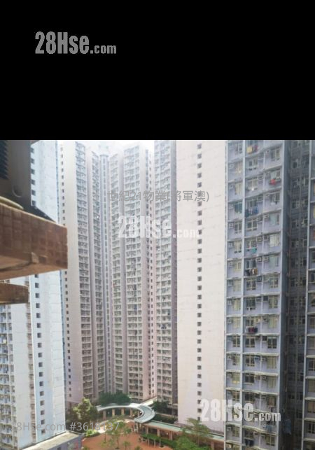 廣明苑 售盤 廣明苑 售盤