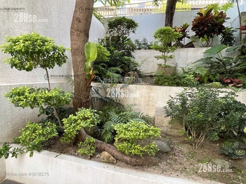 Fortune Garden Rental 1,366 ft² Fortune Garden Rental 1,366 ft²