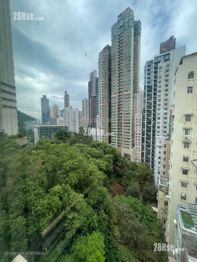 宝树楼 售盘 2 房 , 1 浴室 505 平方尺 宝树楼 售盘 2 房 , 1 浴室 505 平方尺