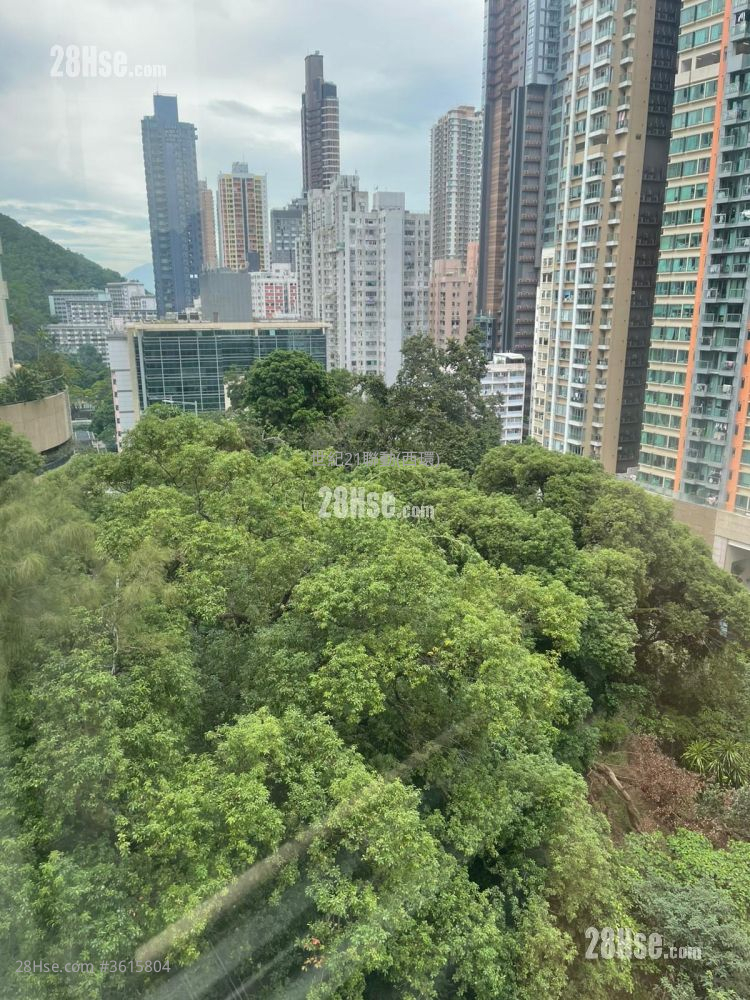 宝树楼 售盘 2 房 , 1 浴室 505 平方尺 宝树楼 售盘 2 房 , 1 浴室 505 平方尺