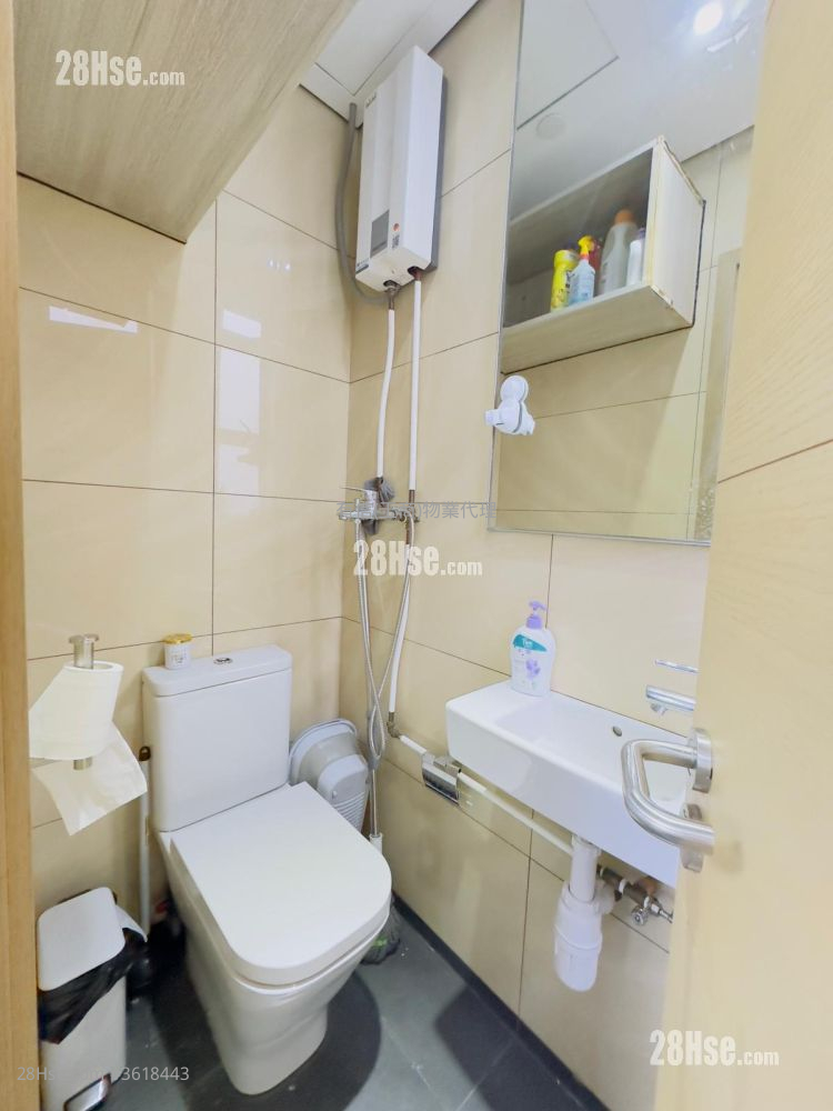 The Globe Rental 1 Toilet 916 ft² The Globe Rental 1 Toilet 916 ft²