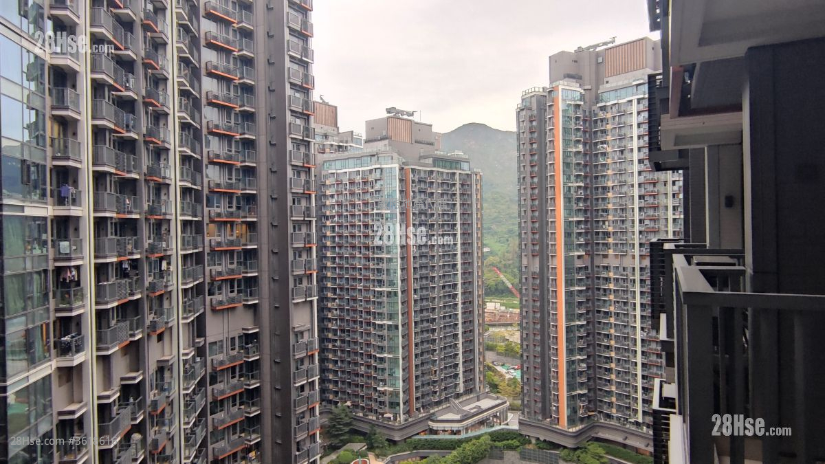 內園景觀 內園景觀