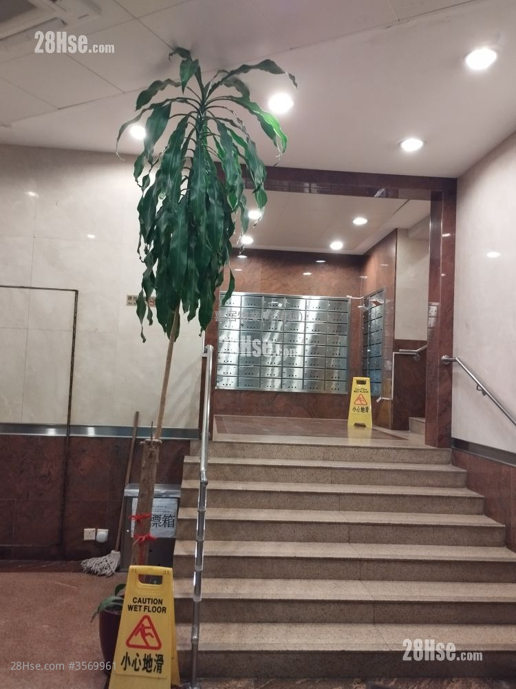 怡景大廈 租盤 開放式間隔 , 1 浴室 465 平方呎